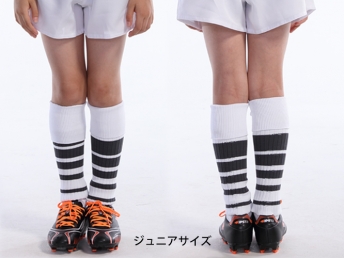 ラクビーソックス